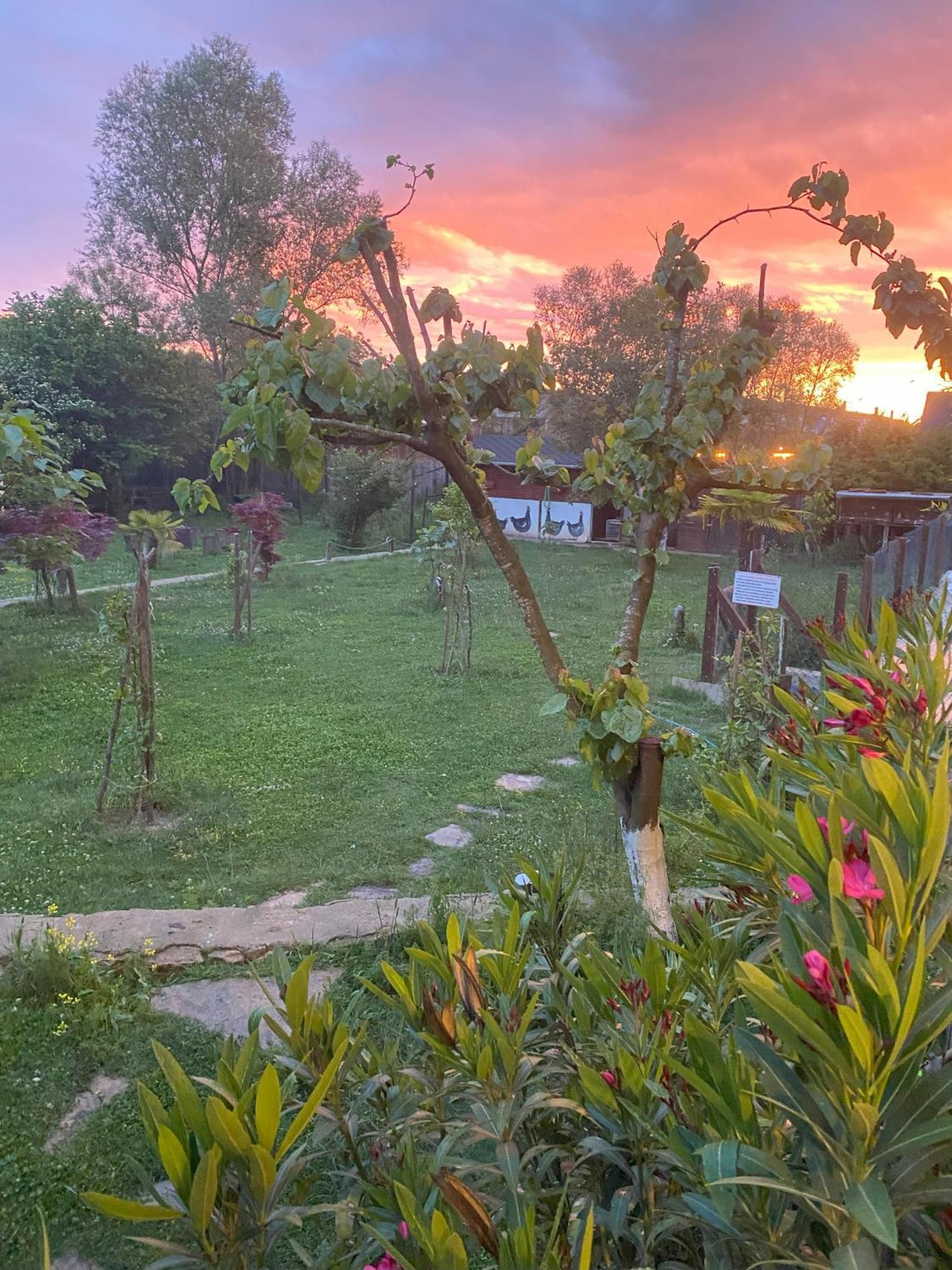 Kerpe Diem Otel Luaran gambar