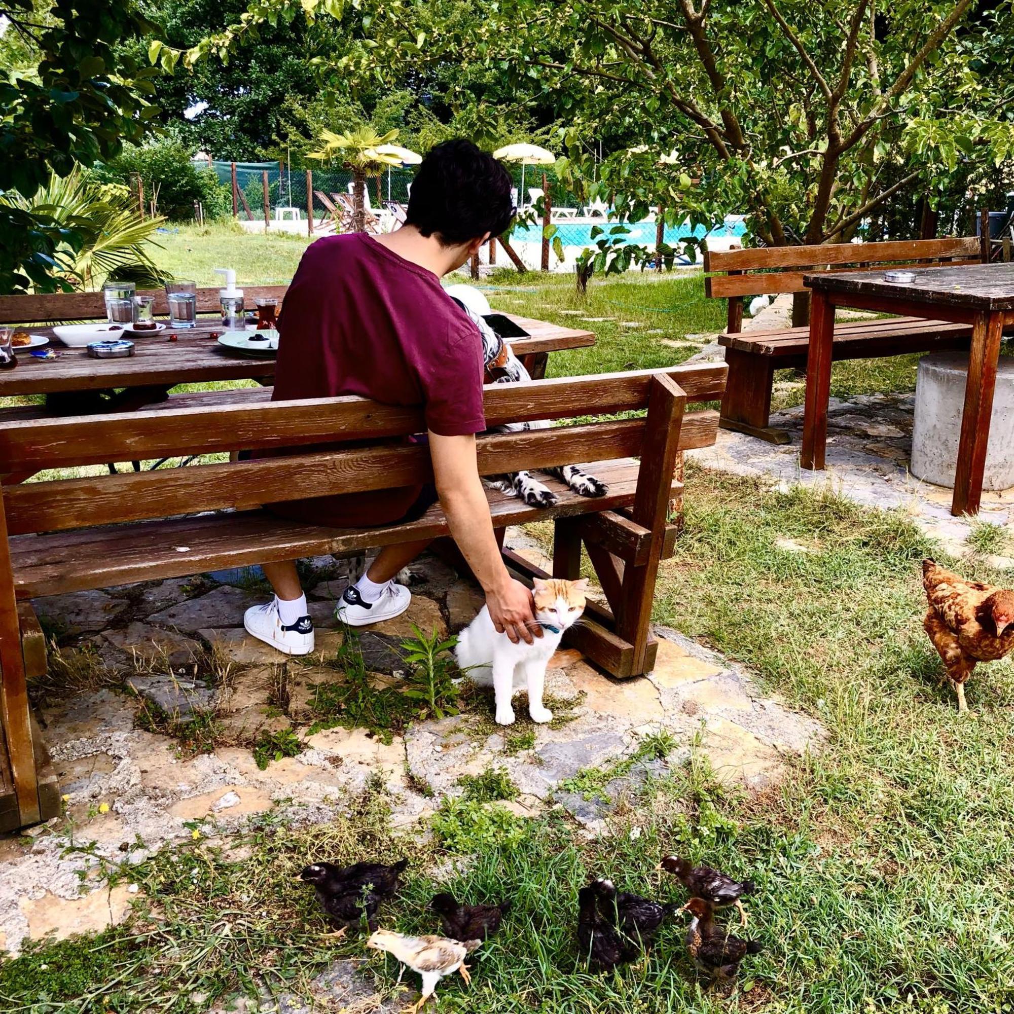 Kerpe Diem Otel Luaran gambar