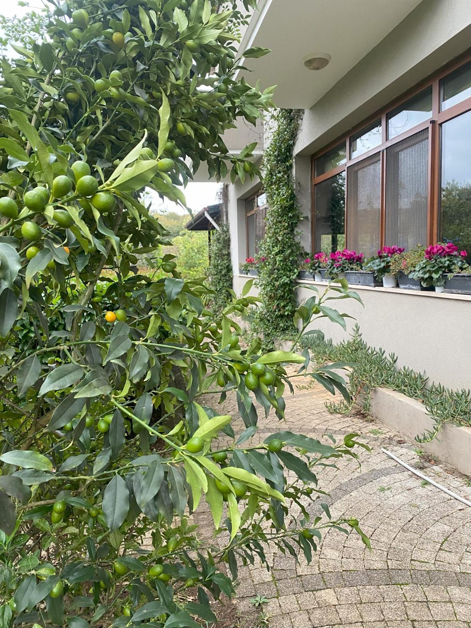 Kerpe Diem Otel Luaran gambar
